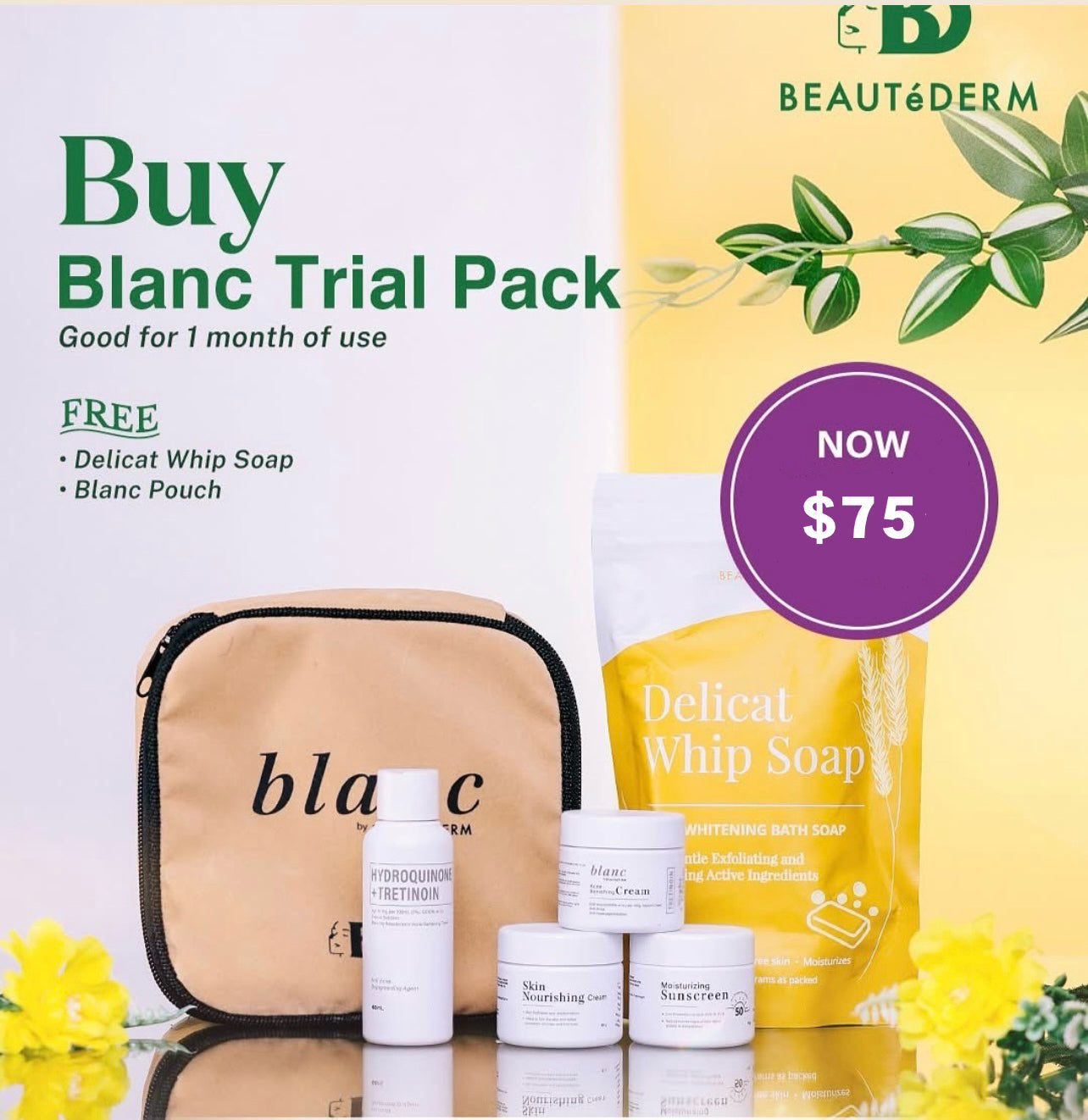 Blanc Set TRIAL Size (60ml toner and 10gram creams, 1 month use) with FREE Delicat Whip Soap and Blanc Pouch