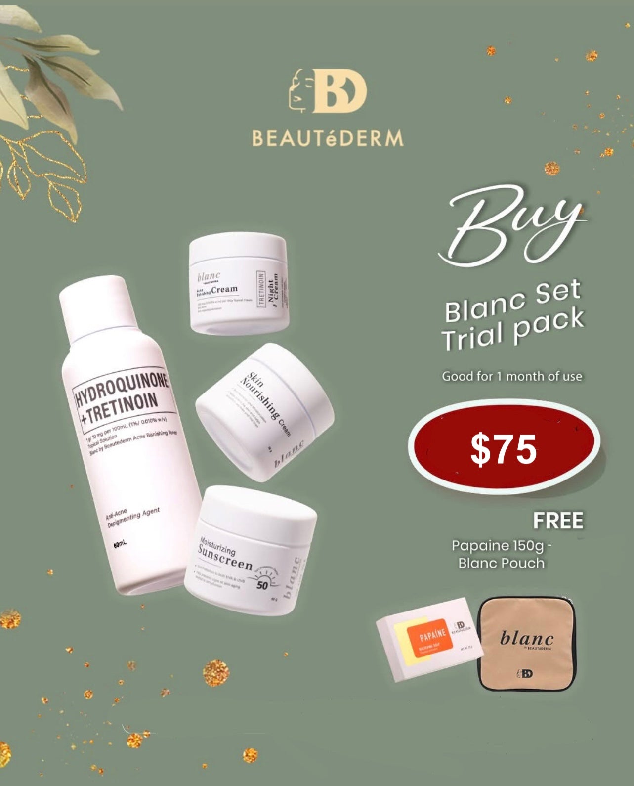 Blanc Set TRIAL Size (60ml toner and 10gram creams, 1 month use) with FREE PapaineSoap 150gms and Blanc Pouch
